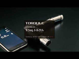 TORQULE Overseas model 10Nm